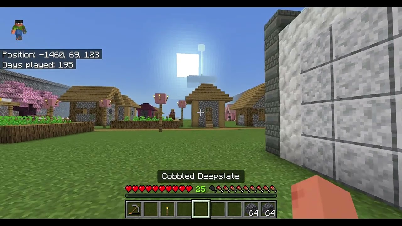 Minecraft #71