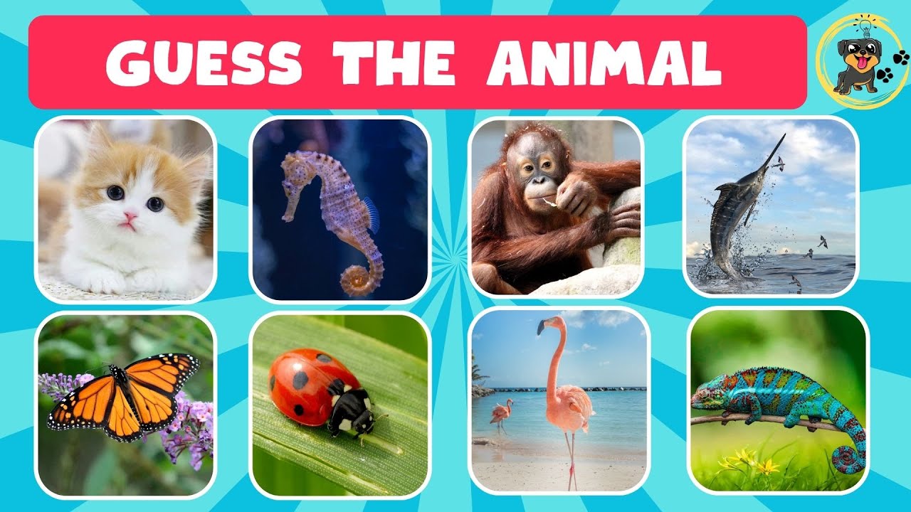 Guess The Animal in 10 Seconds!! 🐕🦁