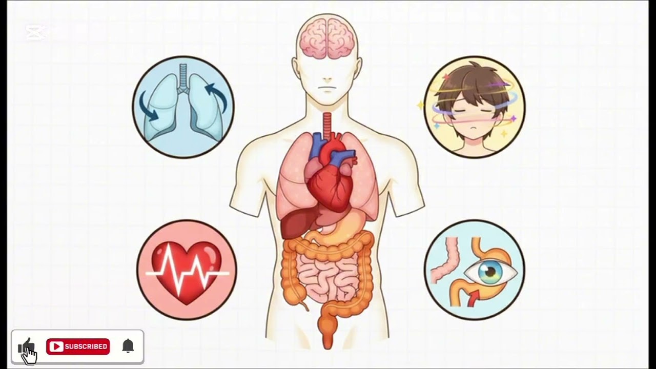 هذا النقص الصامت يدمر أعصابك! فيتامين والسبب الخفي للتنميل والتعب