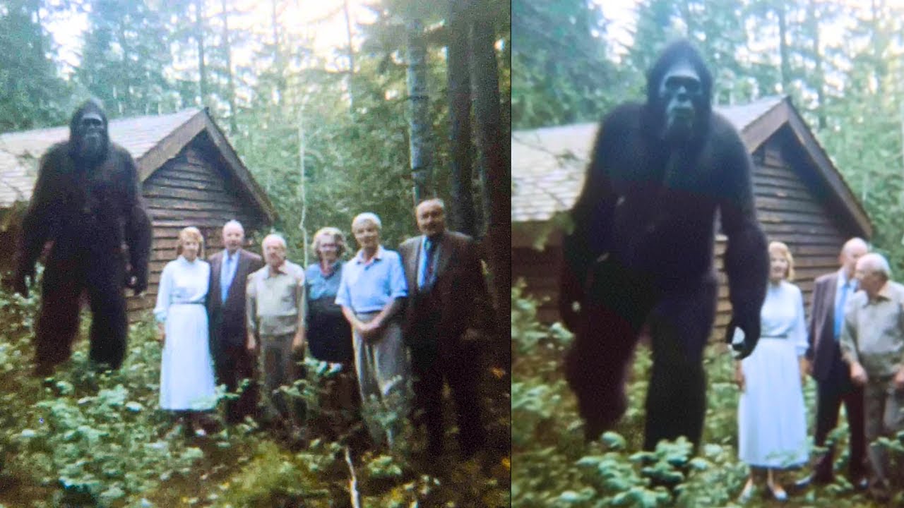 This Family Hid a Bigfoot for 50 Years. Then the Feds Found Out. What They Did... &ndash; Sasquatch Story