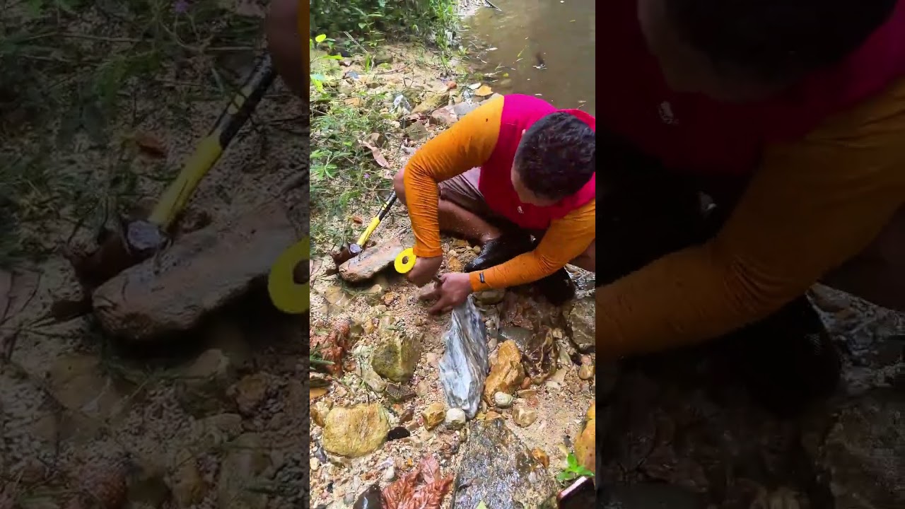 thisis the largest gold-filled rock ever found in the world 🌎 #crystallized#goldrush #crystals#gold