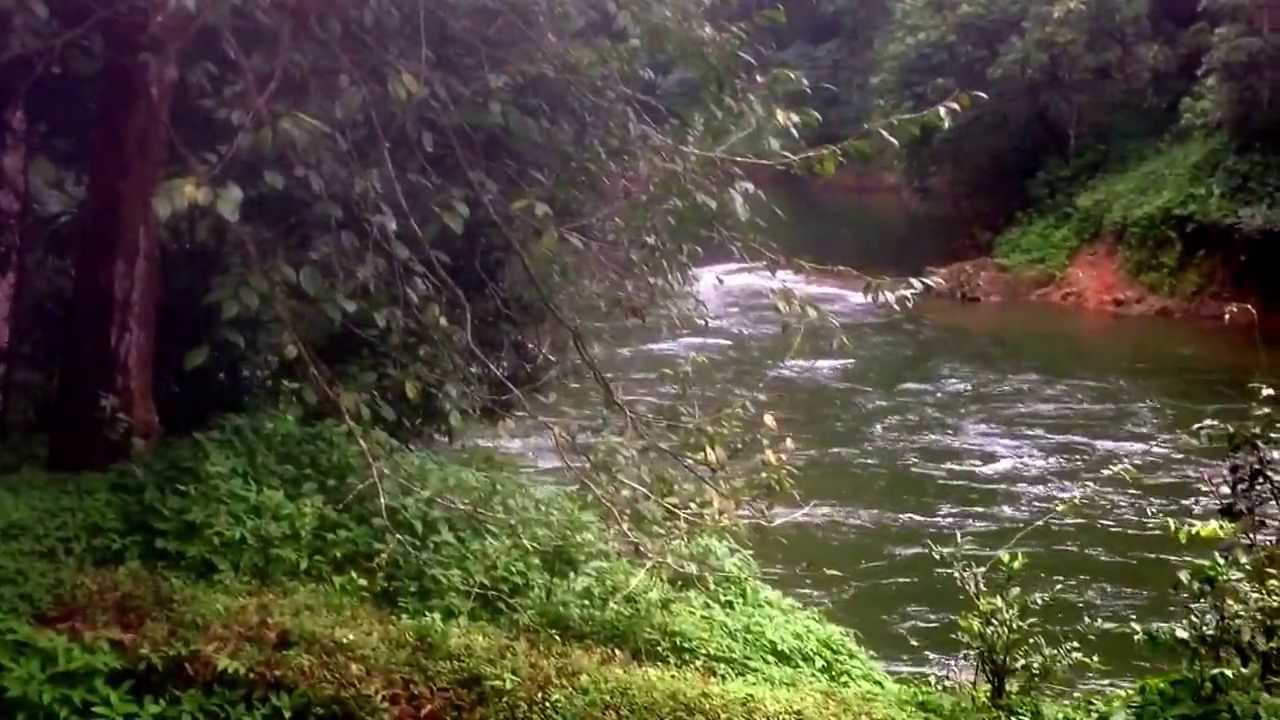 Manampalli forest house near VALPARAI ...