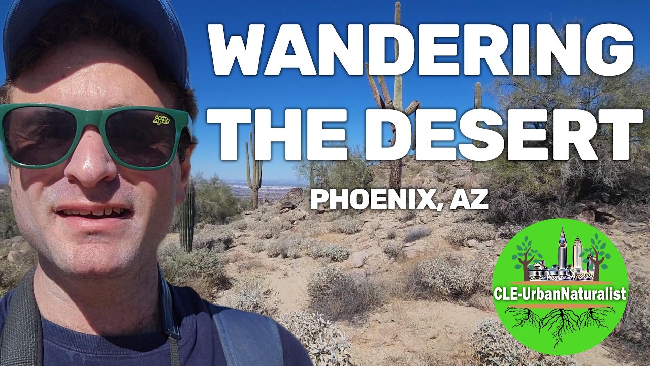 Wandering the Desert in Phoenix, AZ