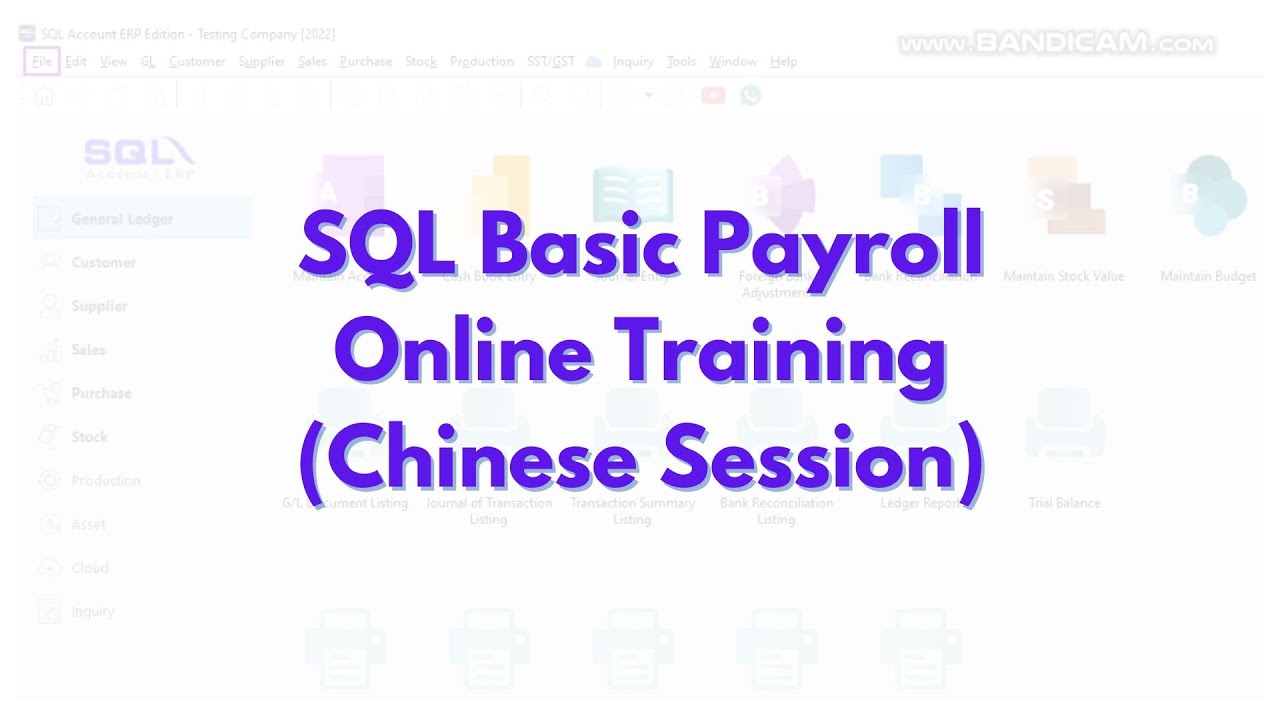 SQL Basic Payroll Online Training (Chinese Session) - Recorded Video 25/7/25