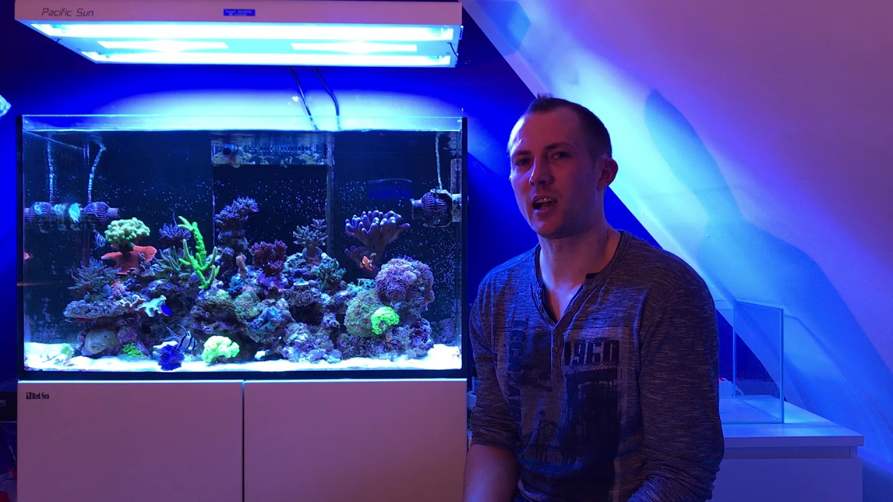 Bodengrund im Meerwasseraquarium tauschen... Cyanos besiegt!!!