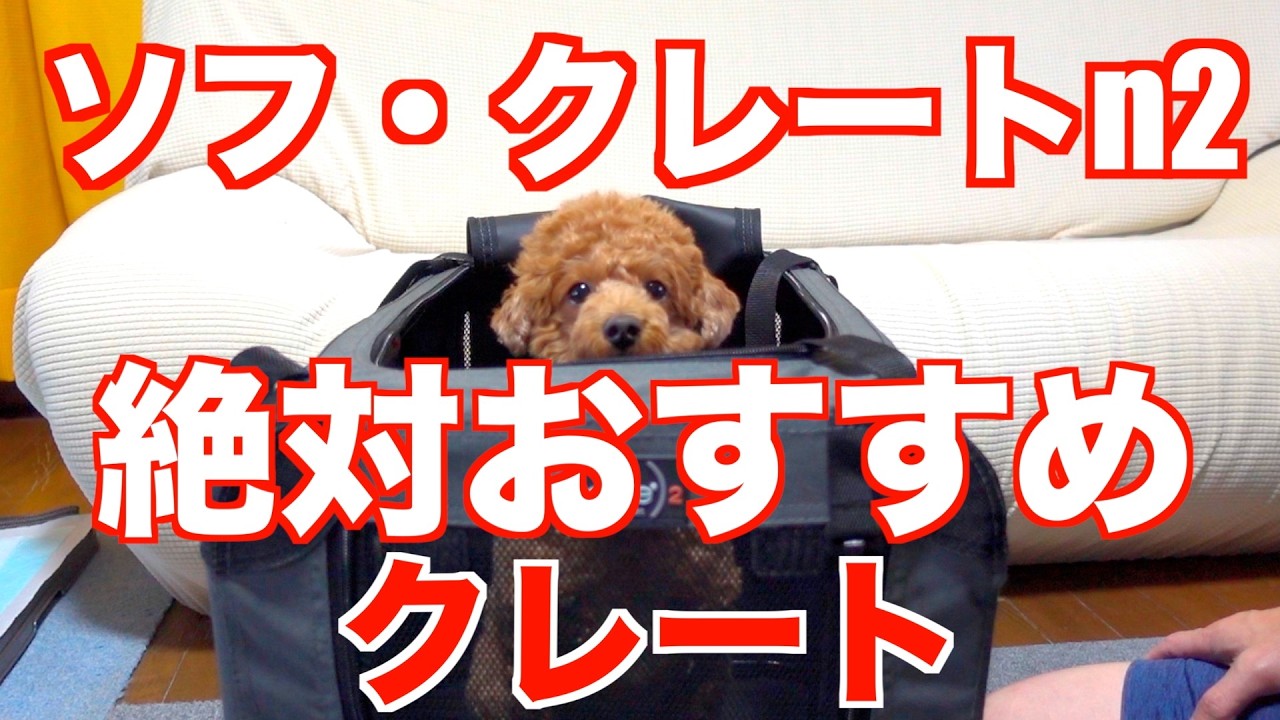 【ソフクレートn2k】愛犬のクレート選びに迷ったらこれ一択！ワンコに優しい・頑丈・サイズ豊富。