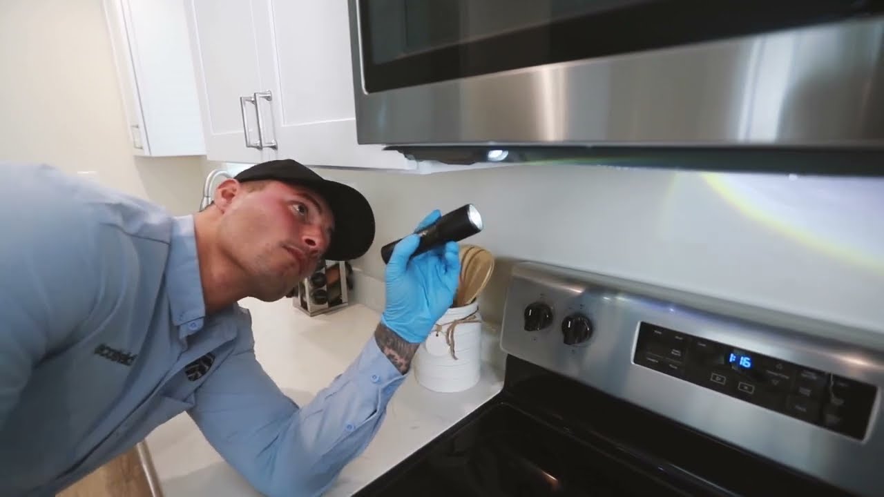 EcoShield Pest Solutions | Pest Control Near Me