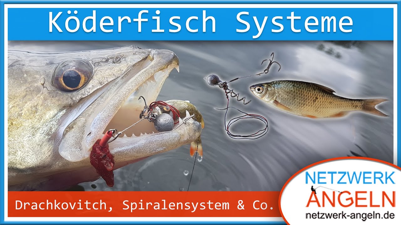 Köderfisch Systeme: Spinnfischen mit Natur pur!