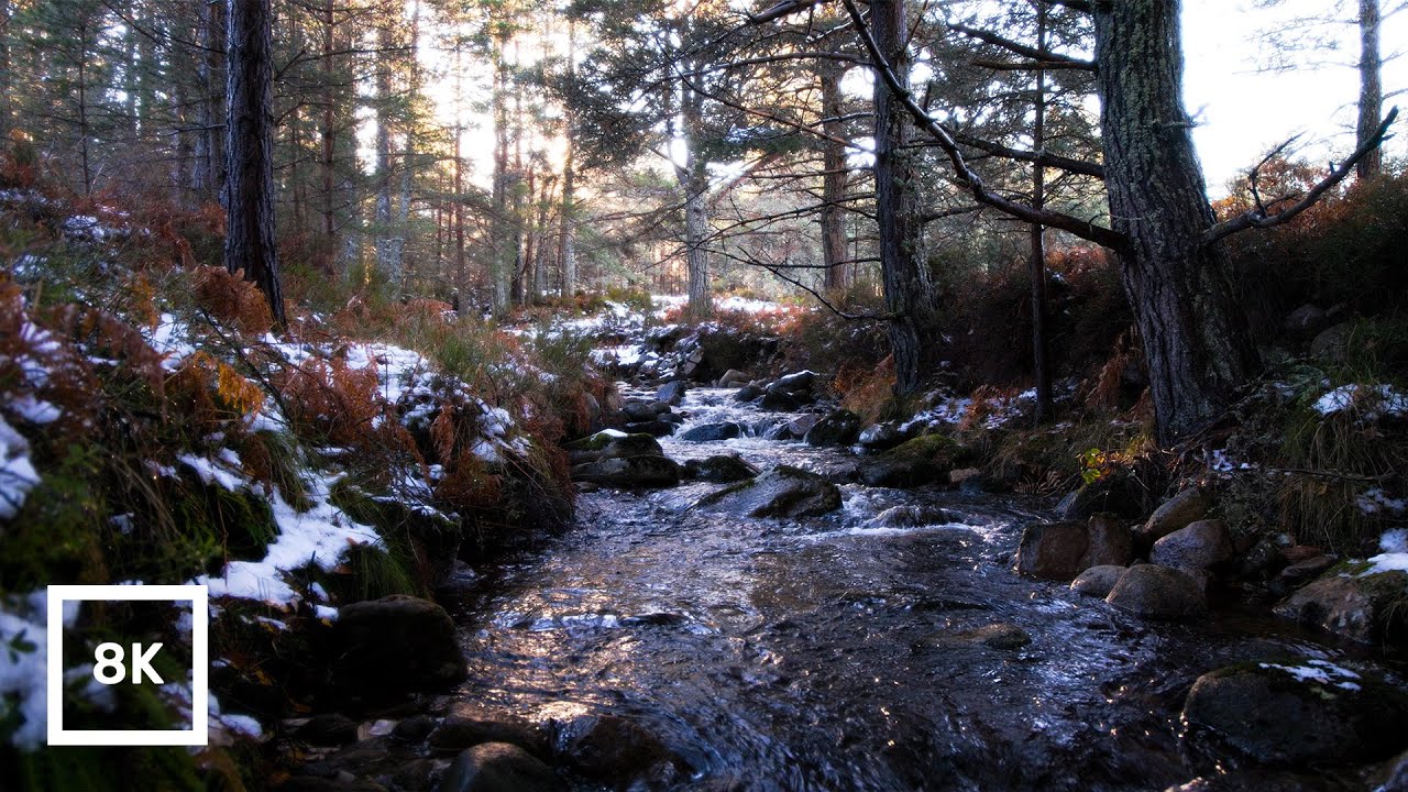 4K HDR Snowy Forest Stream | Winter River Ambience | Relaxing Water Sounds for Sleep & Study