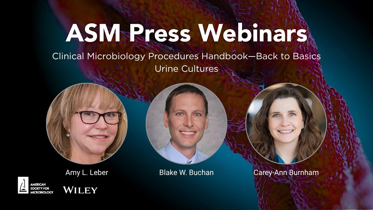 Clinical Microbiology Procedures Handbook&mdash;Back to Basics: Urine Cultures