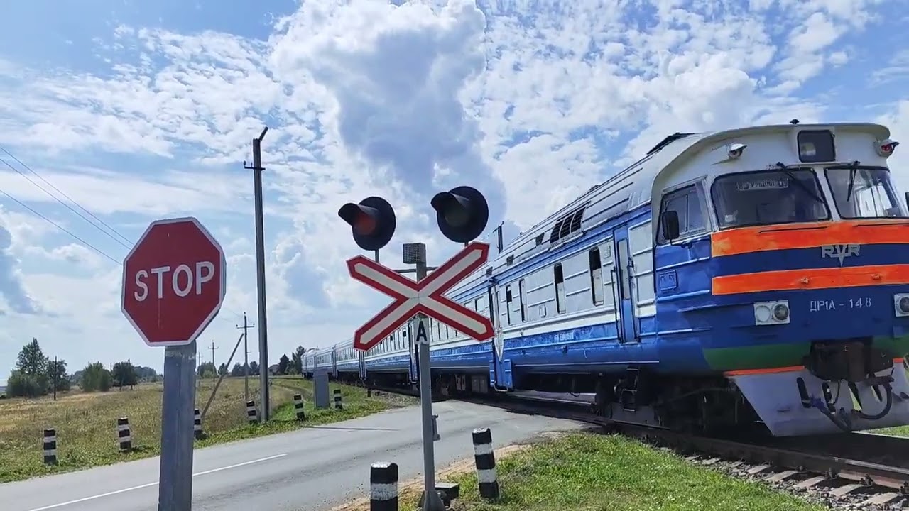 ЖД ПЕРЕЕЗД В БЕЛАРУСИ 🇧🇾 9.8.2024 (ЗА РОЖАНКОЙ) 73 ЧАСТЬ, ПОЕЗДА НА О. П. БОБРЫ 11 ЧАСТЬ