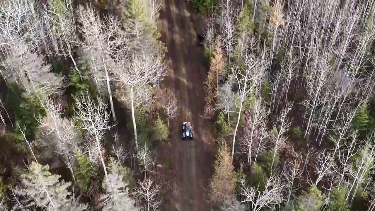 had the drone follow me out of the forest