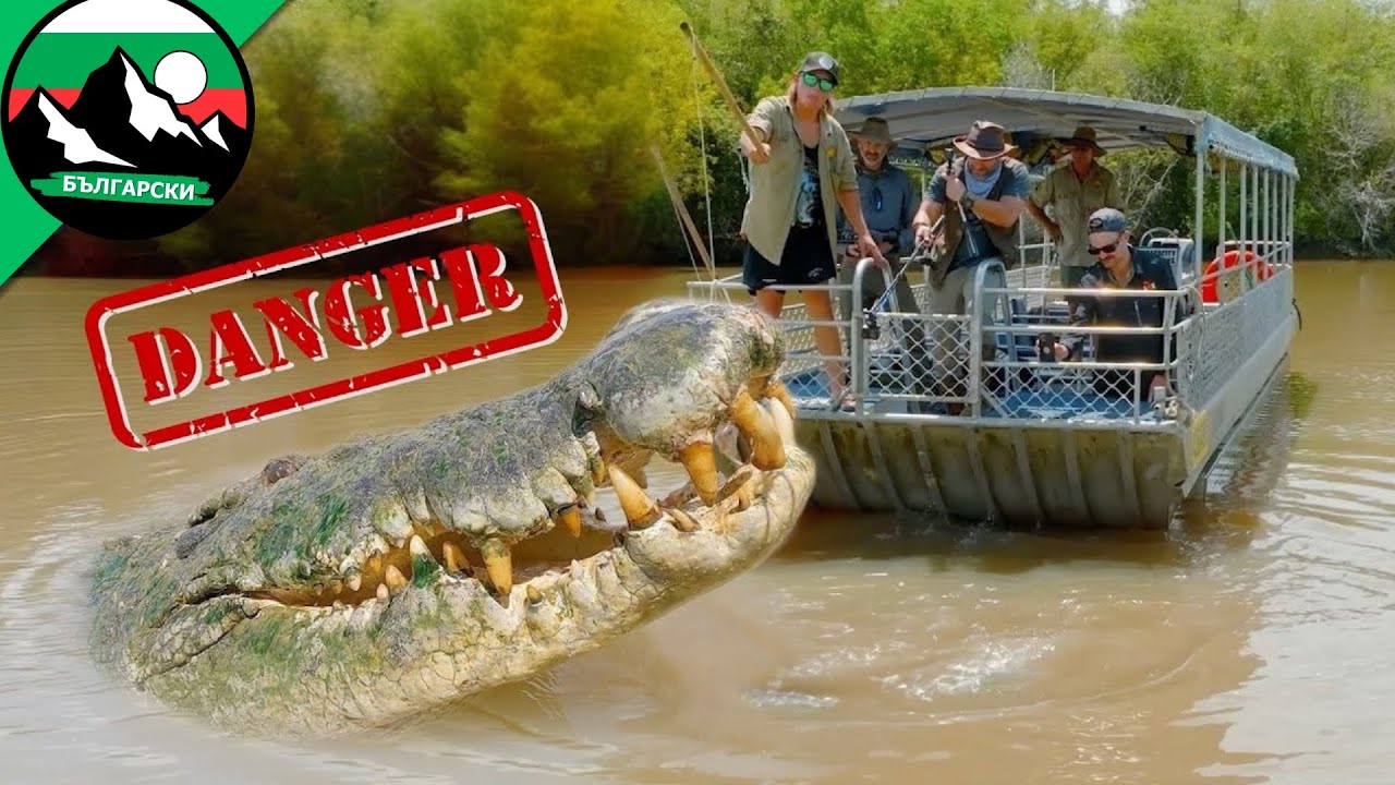 Най-опасното изпитание: да преминеш река с крокодили !  Brave Wilderness Български