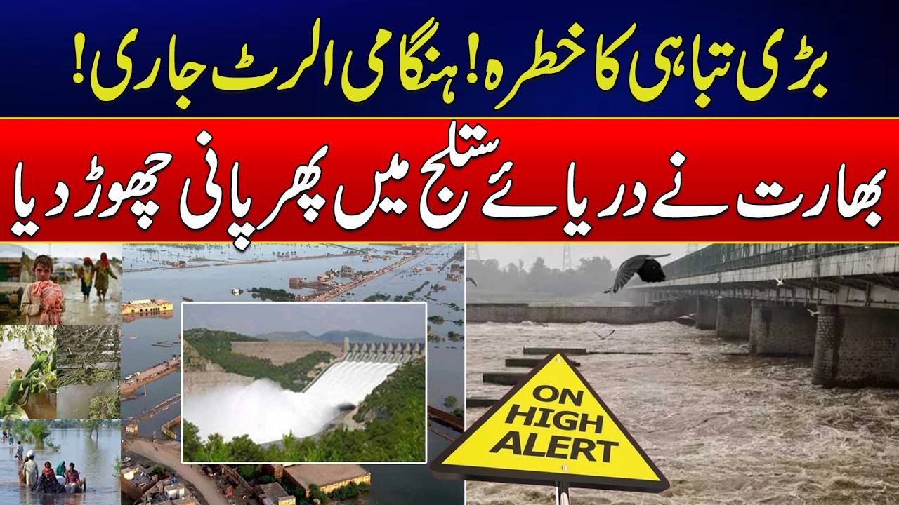 Flood Aftershocks Continue in Bahawalpur, Water Flow Increases in River Sutlej | News Update | Rohi