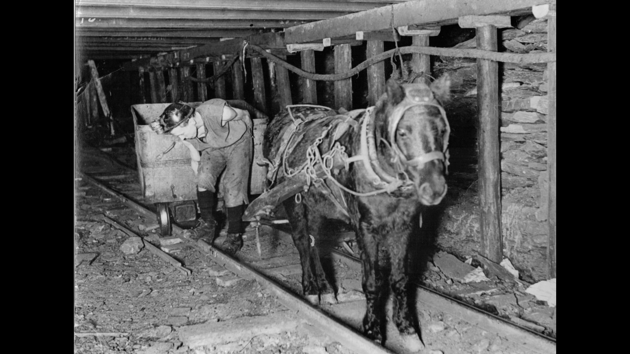 Stories from the Graveyard: Coal miners