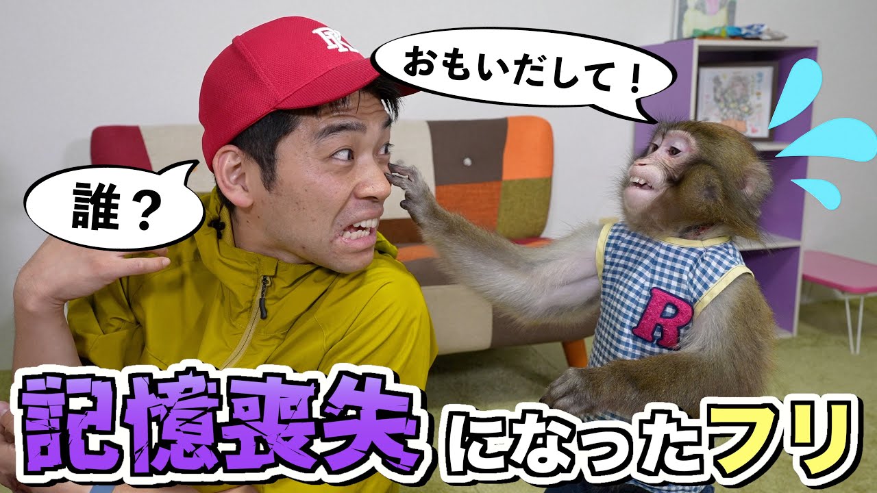お猿さんのことを忘れてしまったフリをすると…かしこすぎる行動が見れます