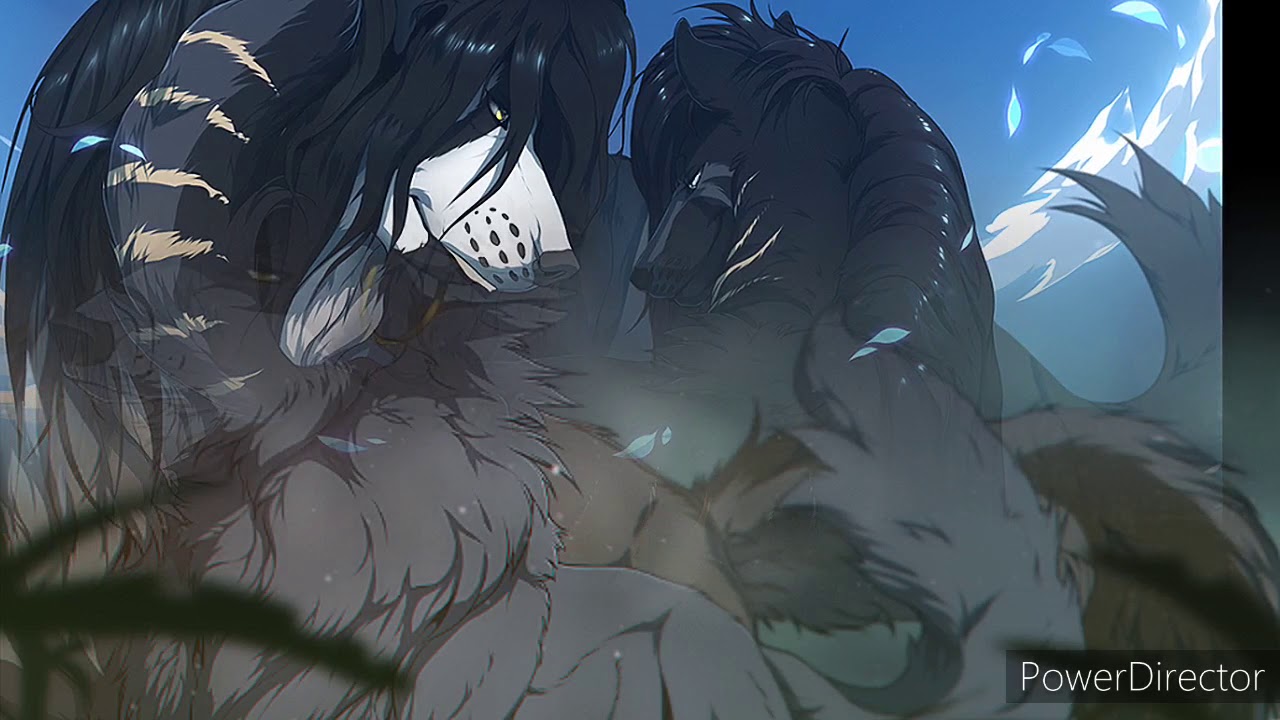 Anime Wolves-Hard Boy