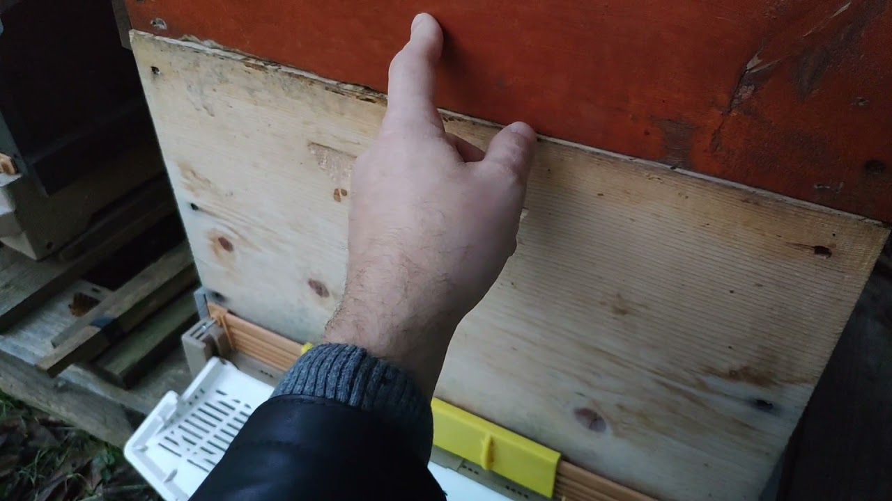Arıları çift katlı kışlatma konusundaki tecrübelerim.