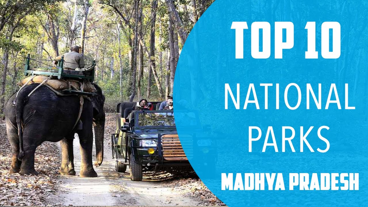 Top 10 Best National Parks to Visit in Madhya Pradesh | India - English