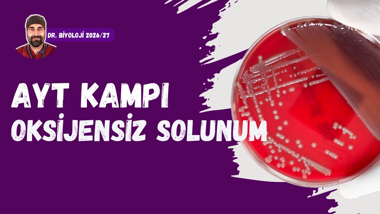 Oksijensiz Solunum | Dr. Biyoloji | AYT D&ouml;nem 2026 - 2027