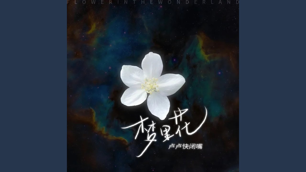 梦里花