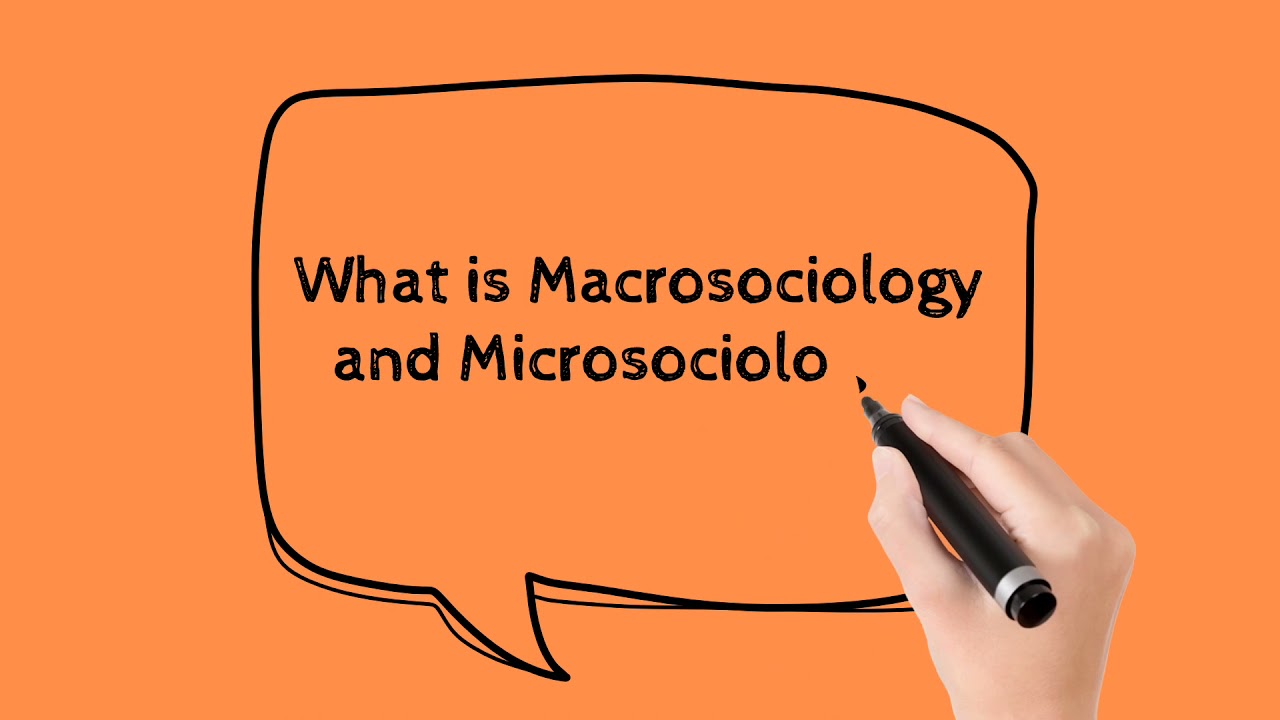 Macro and Microsociology