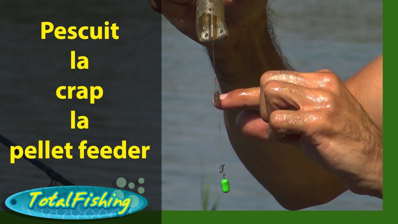 Pescuit la crap cu pellet feeder