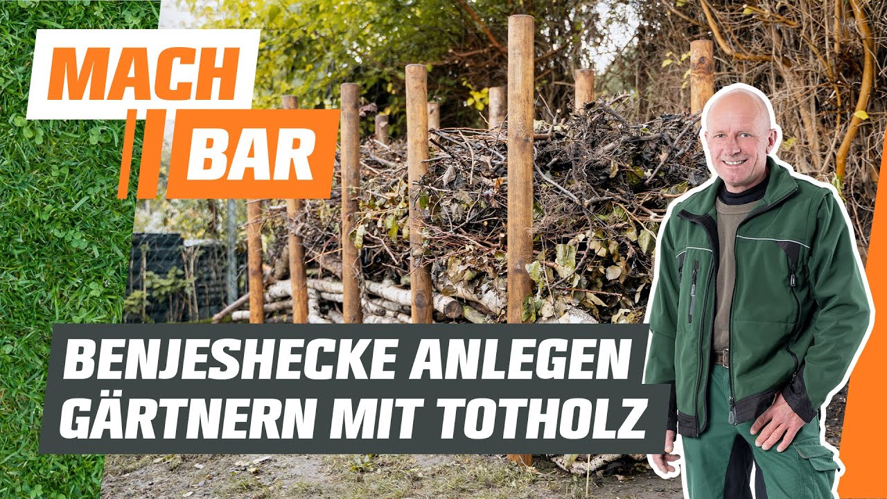 Benjeshecke anlegen – Naturnah gärtnern mit Totholzhecke und Strauchschnitt | OBI