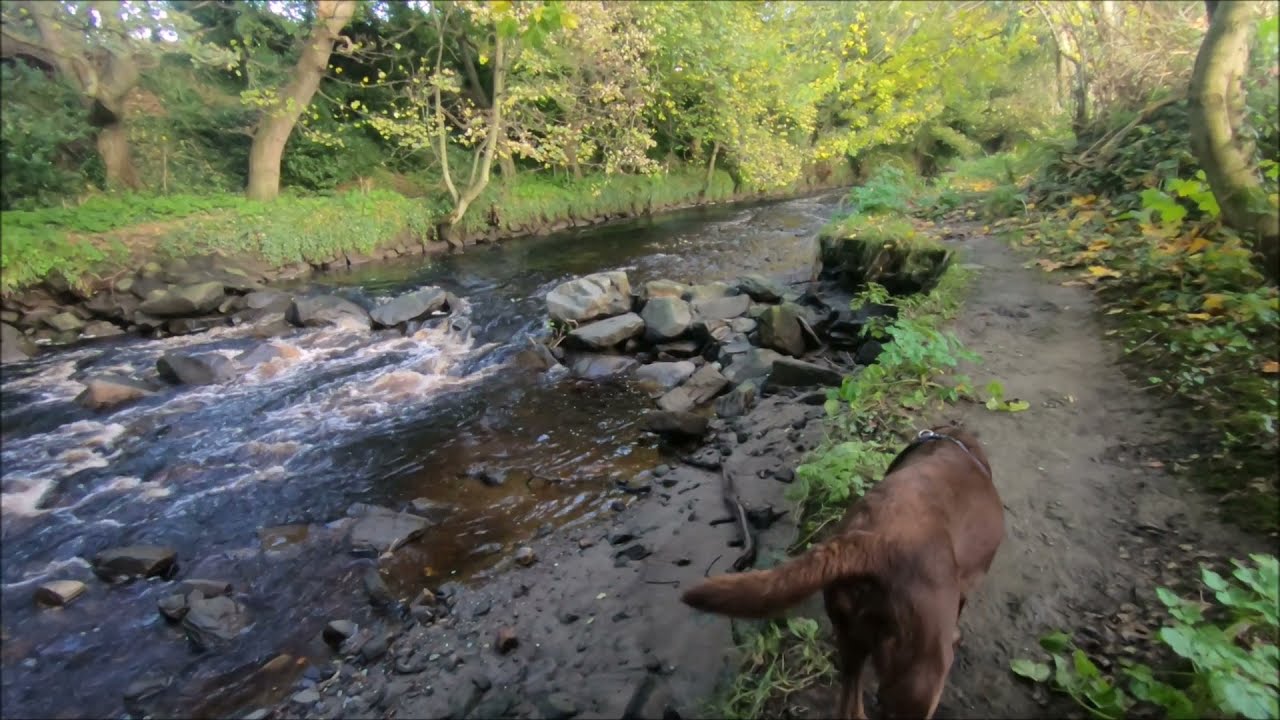 Mill River Walk Buncrana County Donegal 7th November 2021
