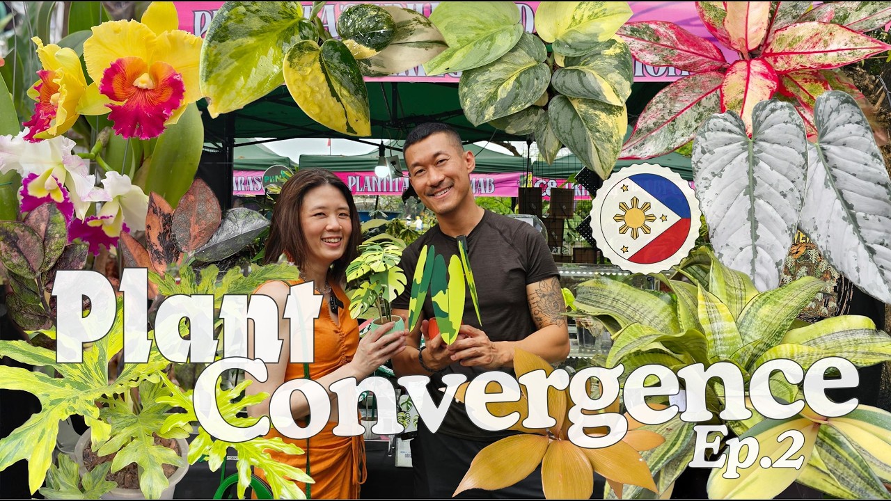 Out of This World! Philippines 🇵🇭 Exotic & Garden Plant Show