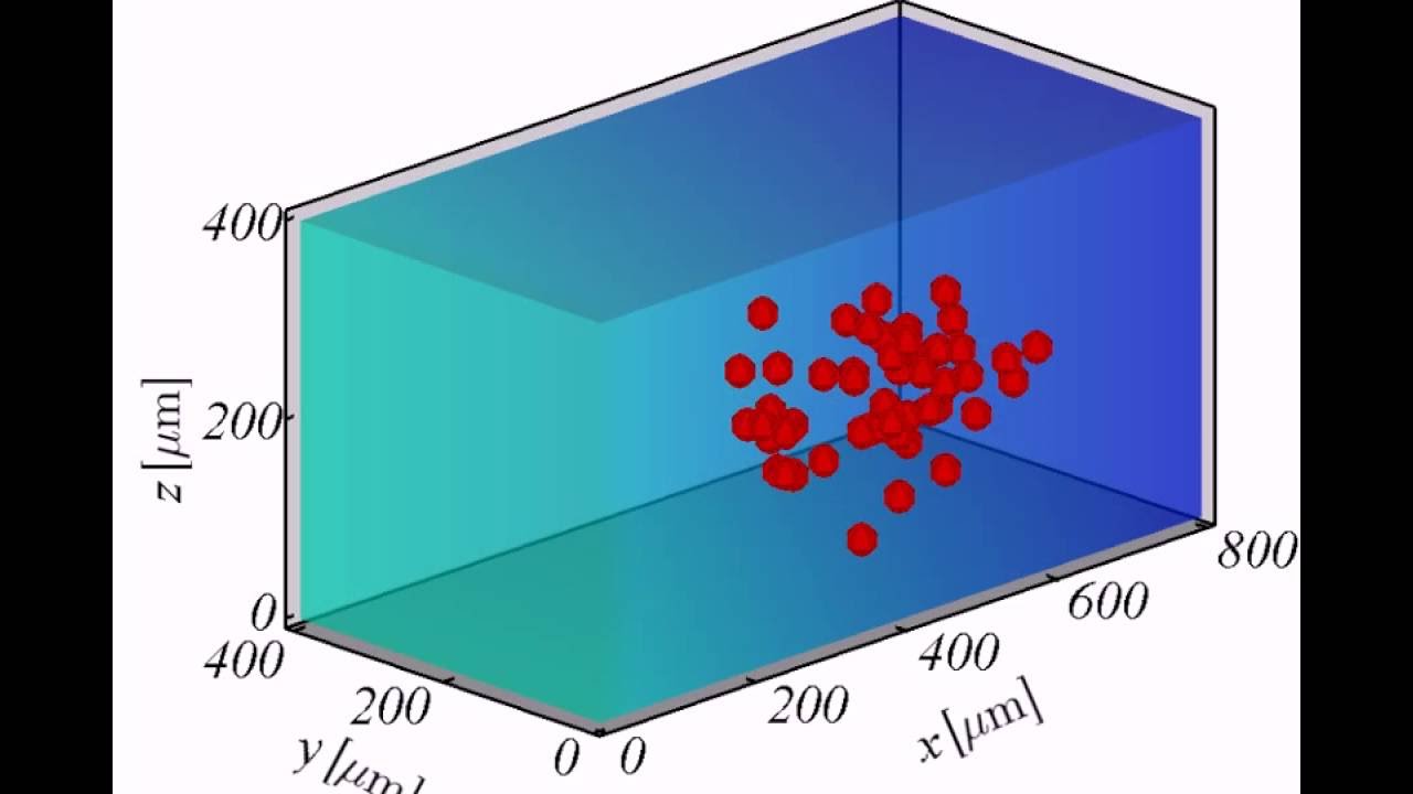 Computational modelling of multi-cell migration (thermotaxis)