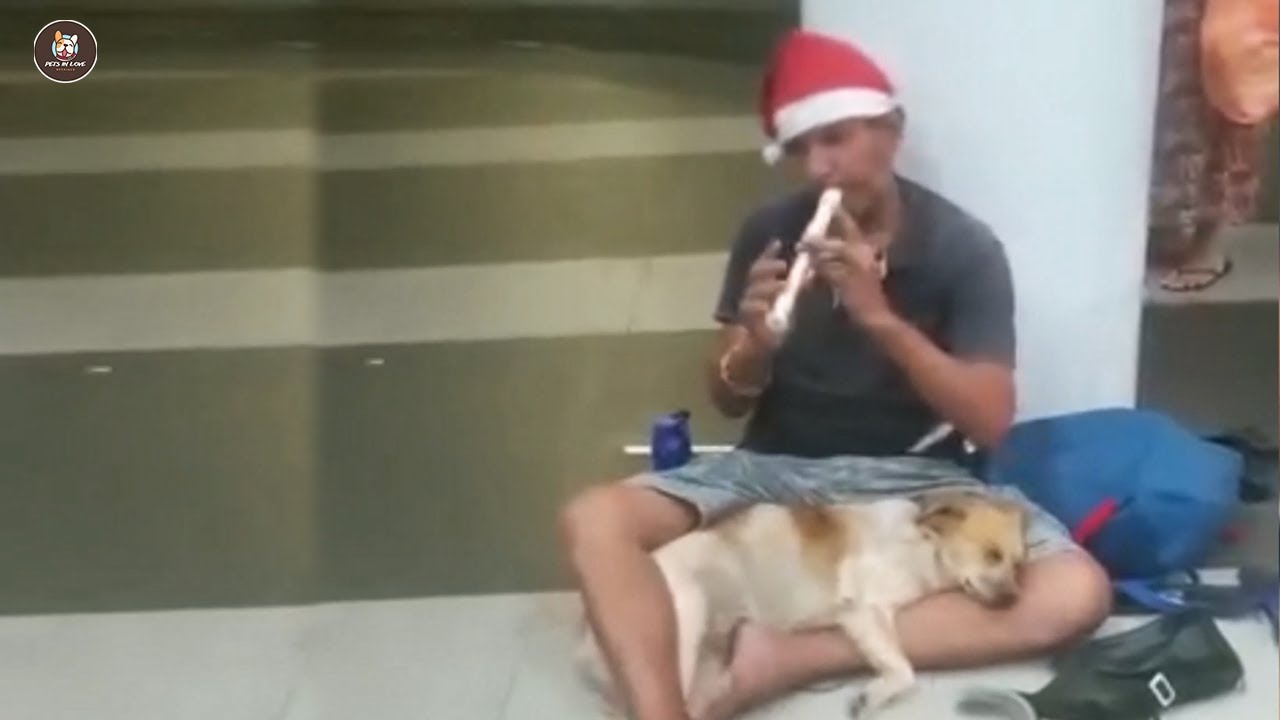 Helpless watching his dog weaker, Homeless Man burst in tears to meet his dog again