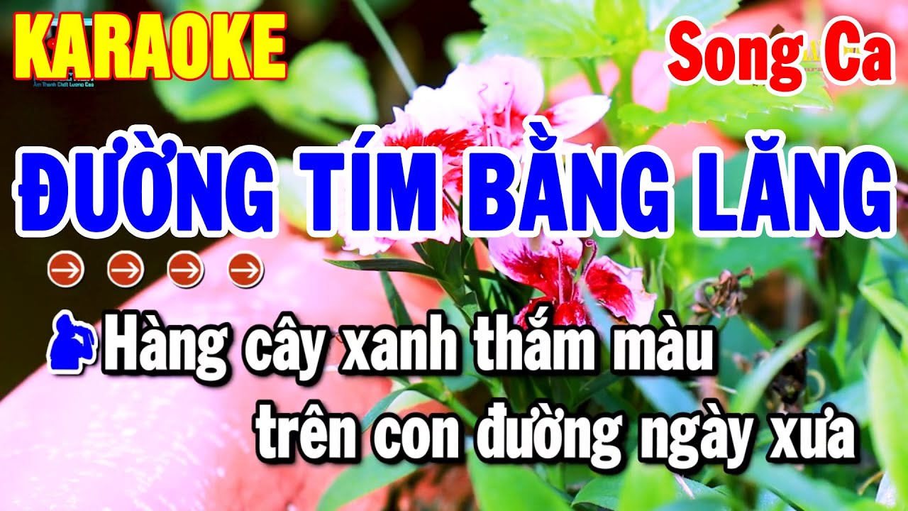 Đường Tím Bằng Lăng Karaoke Nhạc Sống Song Ca Dễ Hát Nhất 2026 | Thanh Hải