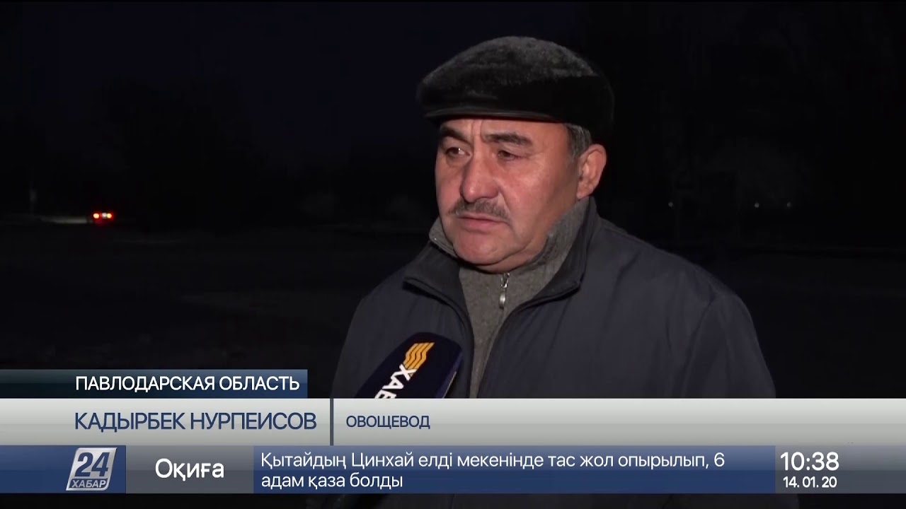 Самый дешёвый картофель продают в Павлодарской области
