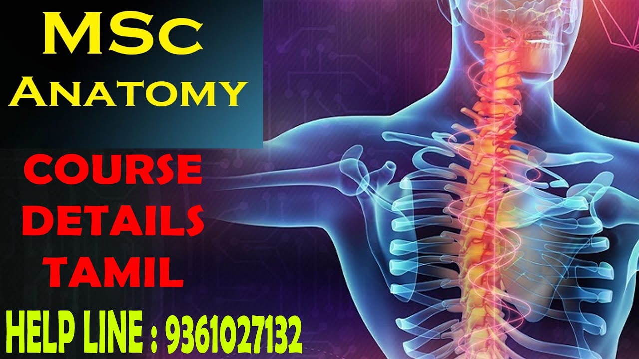 M.Sc Medical Anatomy course Details Tamil