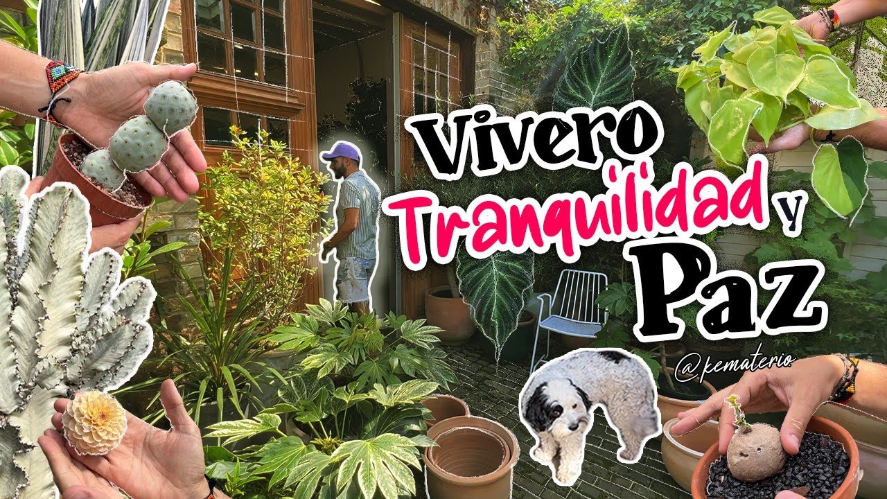 MAS QUE UN VIVERO 