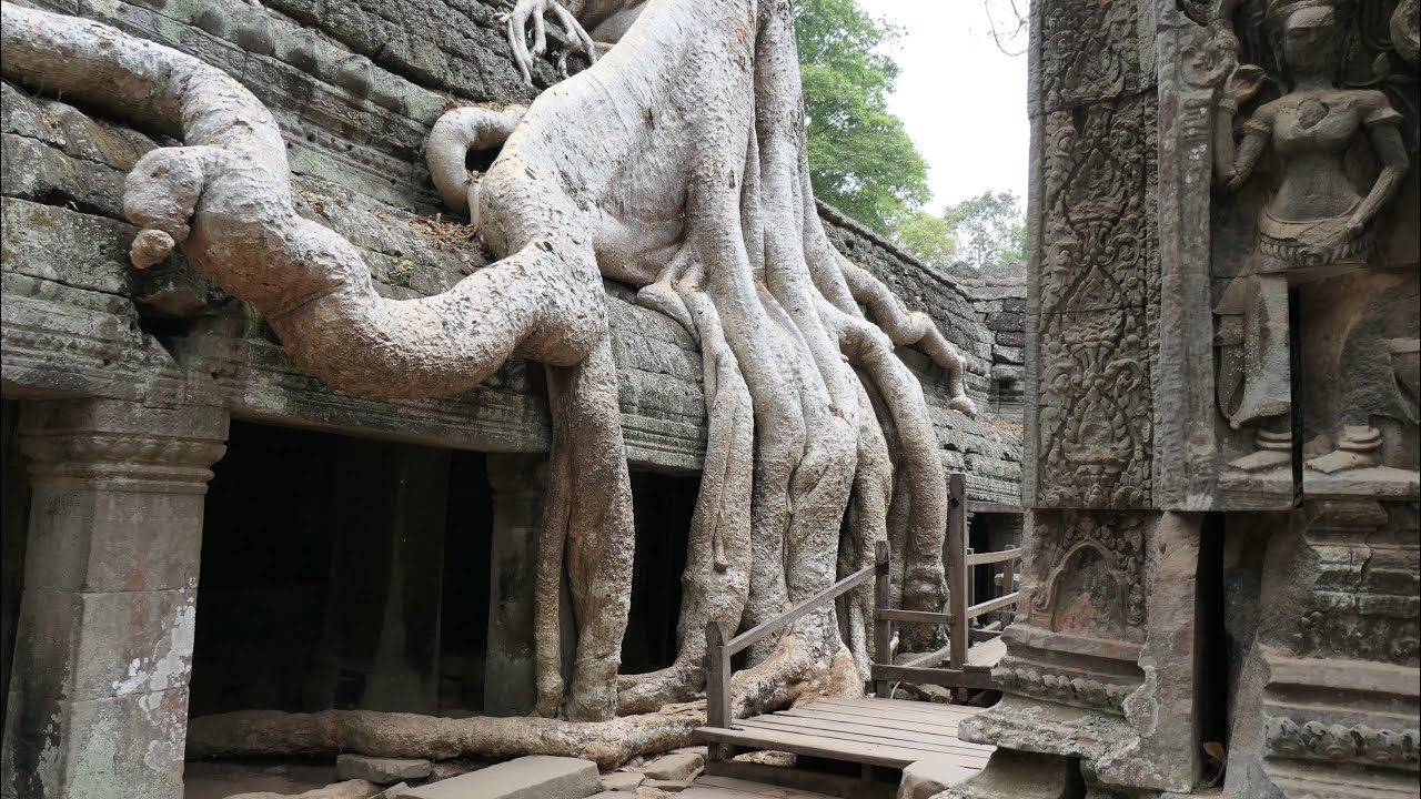 Exploring Cambodia
