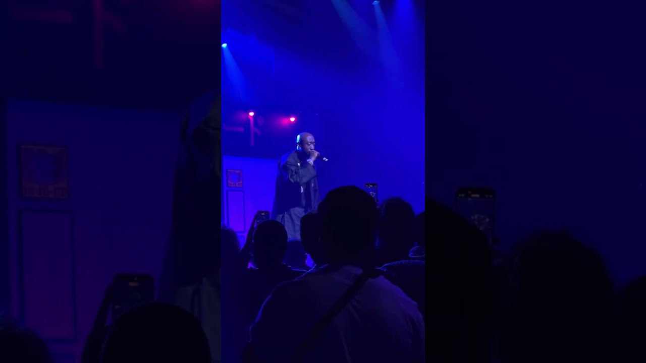 Freddie Gibbs & The Alchemist- 1995 (live)