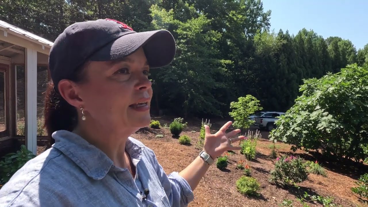 Adding Hot-Weather-Loving Perennials to the Garden