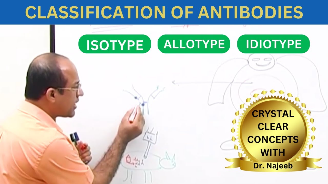Classification of Antibodies | Allotype Isotype and Idiotype🧪