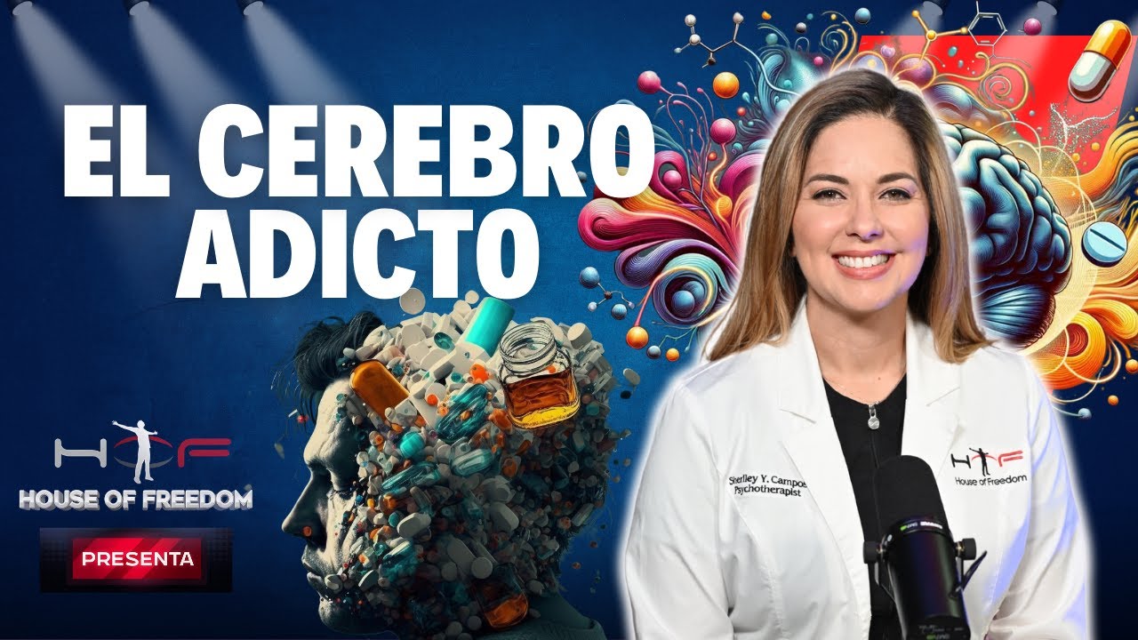 Lo Que Ocurre En El Cerebro Adicto a Drogas