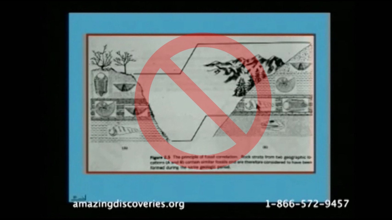 Walter Veith On Index Fossils