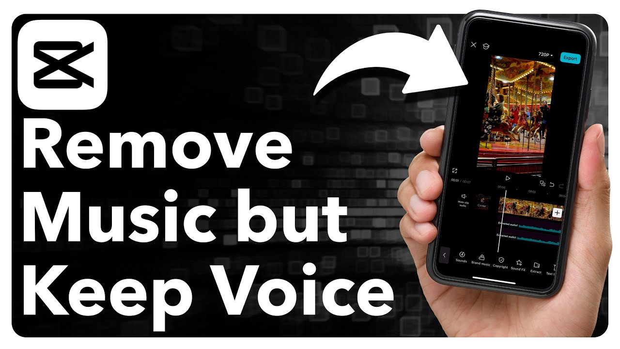 How To Remove Music From A Video But Keep Voice