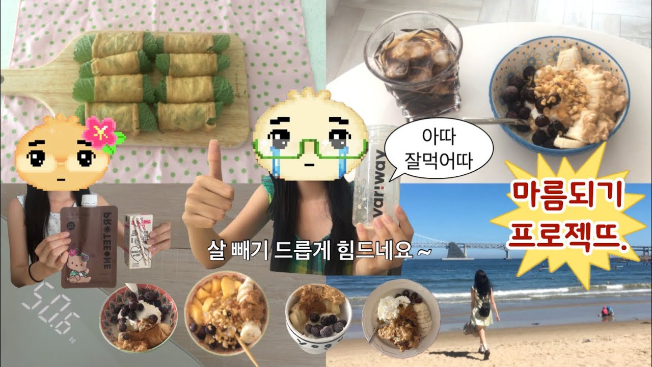 일주일 다이어트 브이로그 🏃‍♀️💨 단백질쉐이크, 그릭요거트, 일반식 섞은 식단 ! 