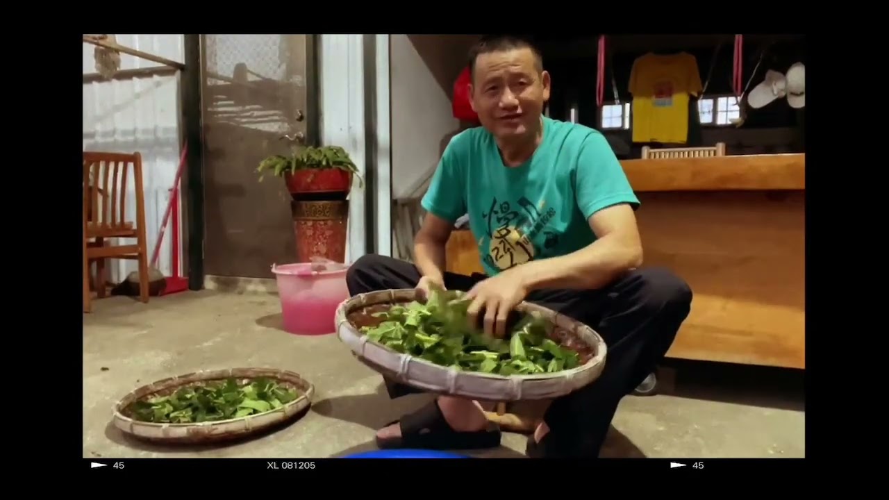 無花果葉的製作