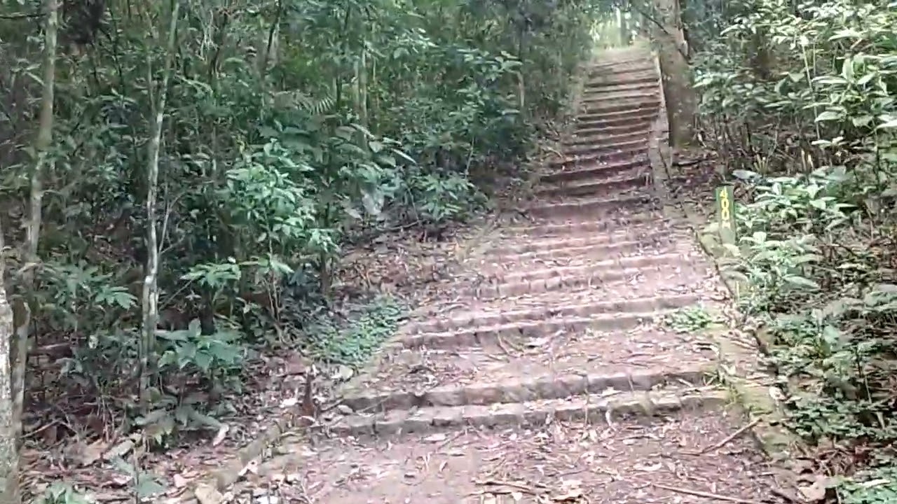 Bora caminhar - Trilha do Saruê - Parque Oswaldo Dias - Mauá/ SP