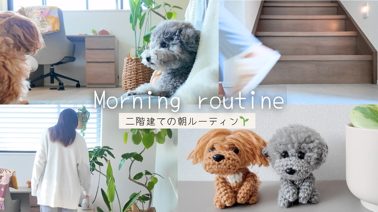 【モーニングルーティン】観葉植物のある朝🌿起床後犬とのまったり時間⏰