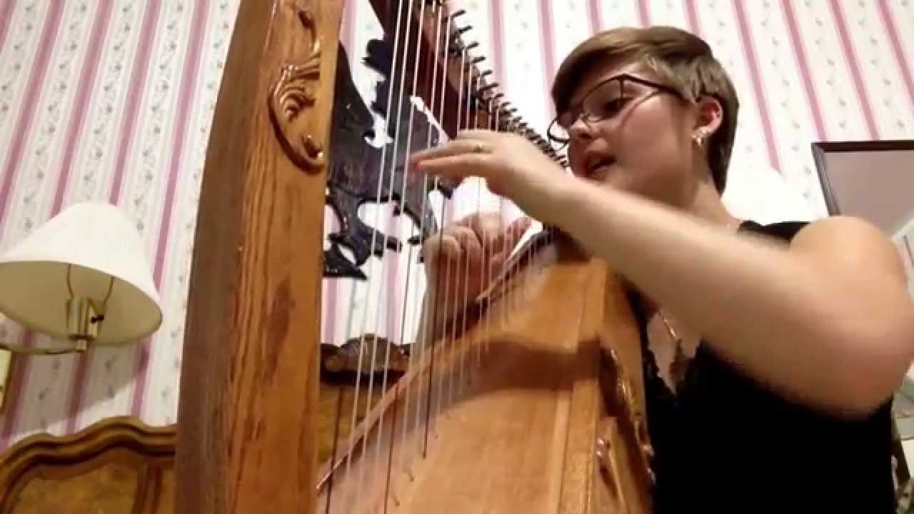 Star of the County Down - Celtic Harp - Rose Soenen
