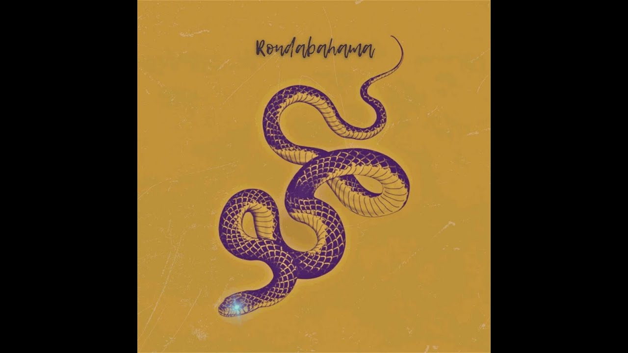 Rondabahama - Snake (2026) #instrumentalmusic #hiphopbeats #newmusic