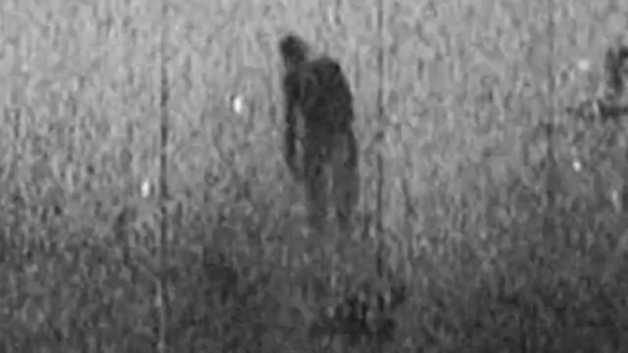Staind: Fade (Slowed + Reverbed)